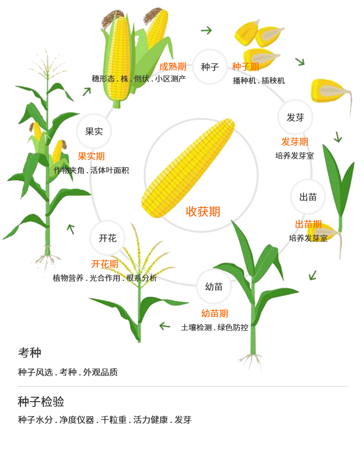 科學(xué)研究